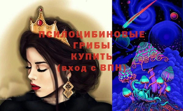 винт Балахна