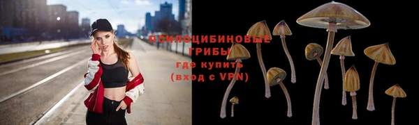 прущие крисы Баксан