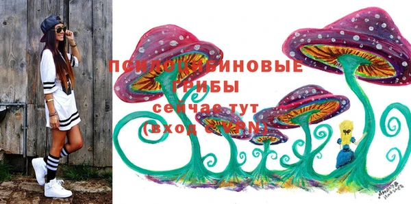 прущие крисы Баксан