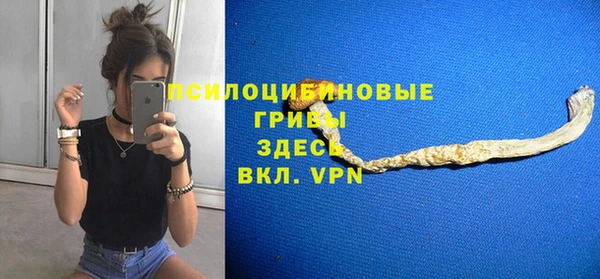 молекула духа Балабаново