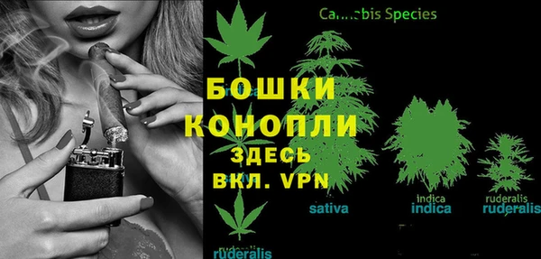 молекула духа Балабаново