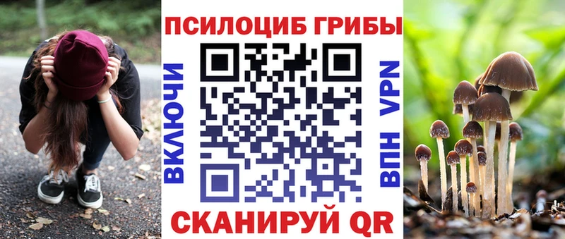 Купить где  Боготол  Псилоцибиновые грибы MAGIC MUSHROOMS 
